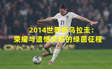 2014世界杯乌拉圭:荣耀与遗憾交织的绿茵征程